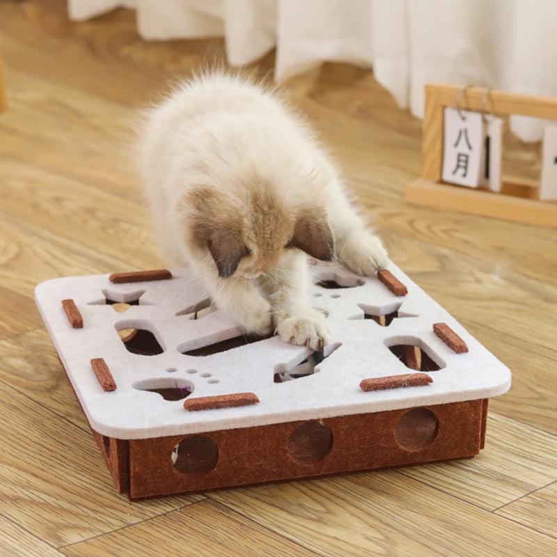 Interactive Cat Puzzle Toy