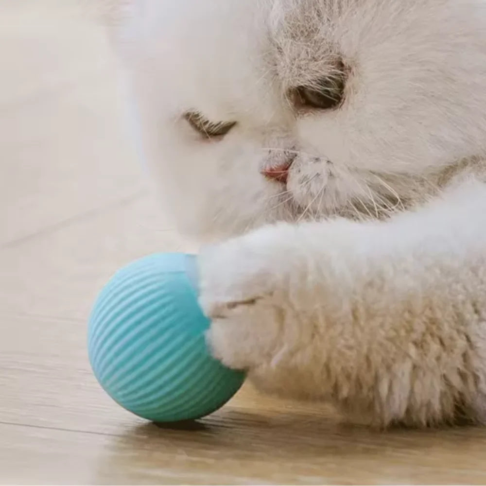Smart Rolling Cat Ball